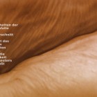 hanna scotti - im schatten der bauchfalte