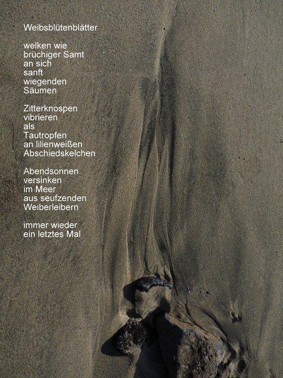 Hanna M. Scotti: Weibsblütenblätter