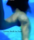 landt_stock_feuer_cover