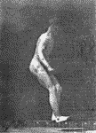 the first loopist