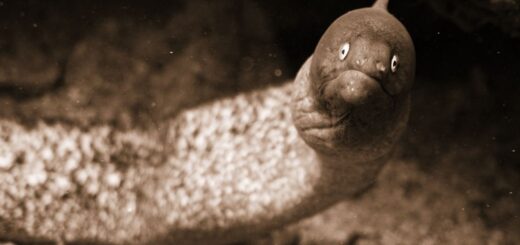 wouter-naert-V2kr8EI5zlc-unsplash