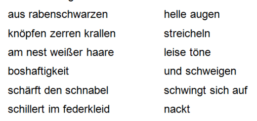 Initiation der alten Krähe im Spiegel