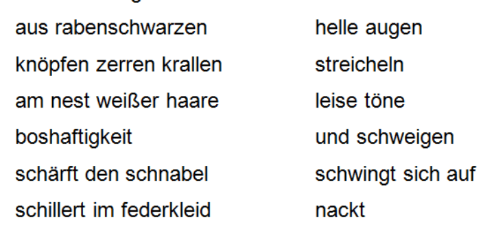 Initiation der alten Krähe im Spiegel