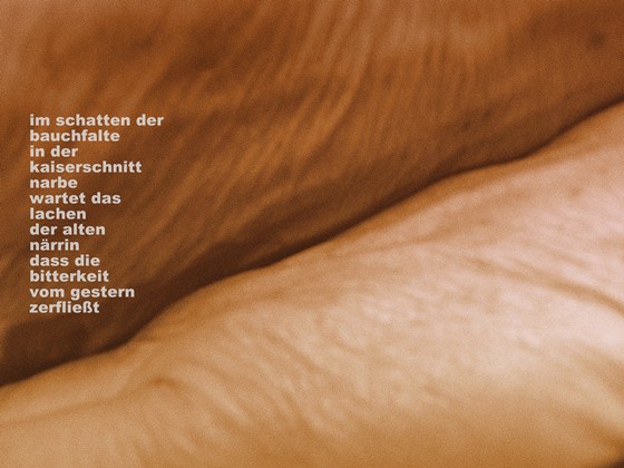 hanna scotti - im schatten der bauchfalte