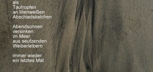 Hanna M. Scotti: Weibsbluetenblätter