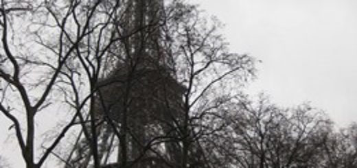 Tour Eiffel - Foto: Deror Avi