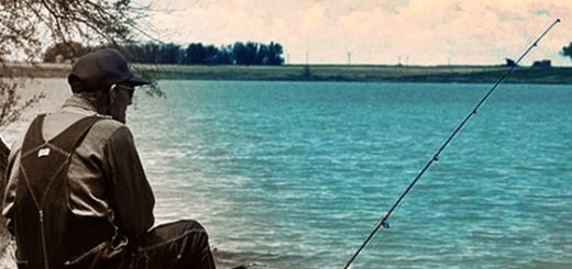 Bild: Ramirez, Pedro, Jr, U.S. Fish and Wildlife Service - Public Domain