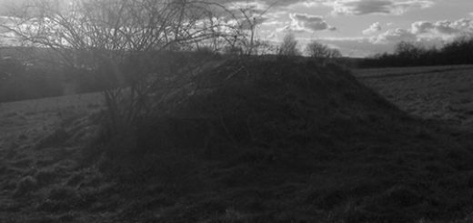 schildkrötenmonument