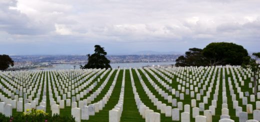 Friedhof / Foto © M.Schober