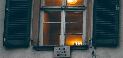 "Hier kotzte Goethe" Foto von Marcel Strauß auf Unsplash